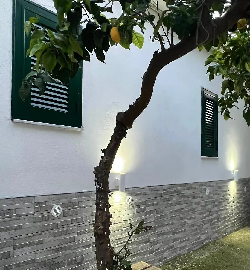 B&B Casa Vacanze Nonna Clara Napoli Appartamento